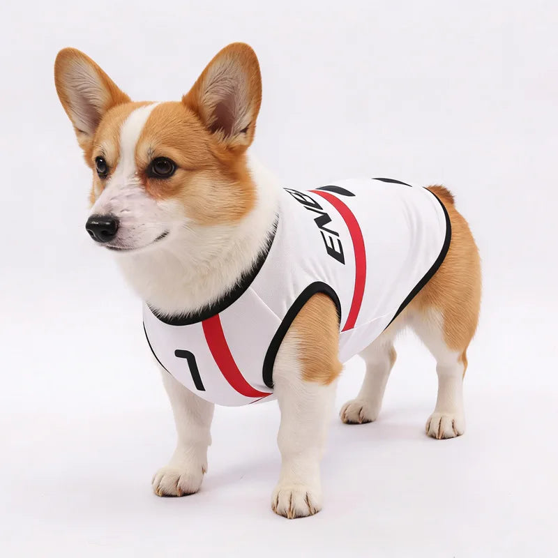 Bellingham #10 Football Dog Jersey – Breathable Summer Sports Vest for Dogs & Cats