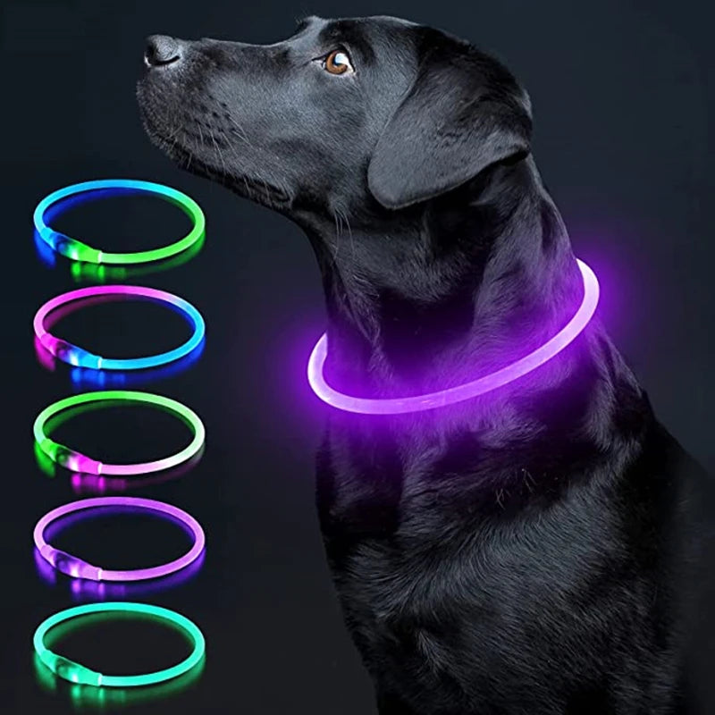 USB Rechargeable LED Dog Glow Collar – Cut to Fit