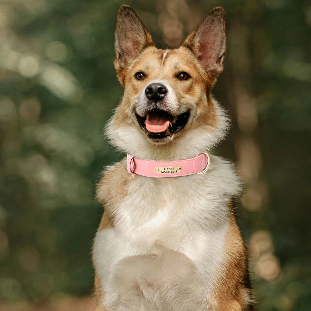 Personalized PU Leather Dog Collar & Leash Set – Free Custom ID Nameplate