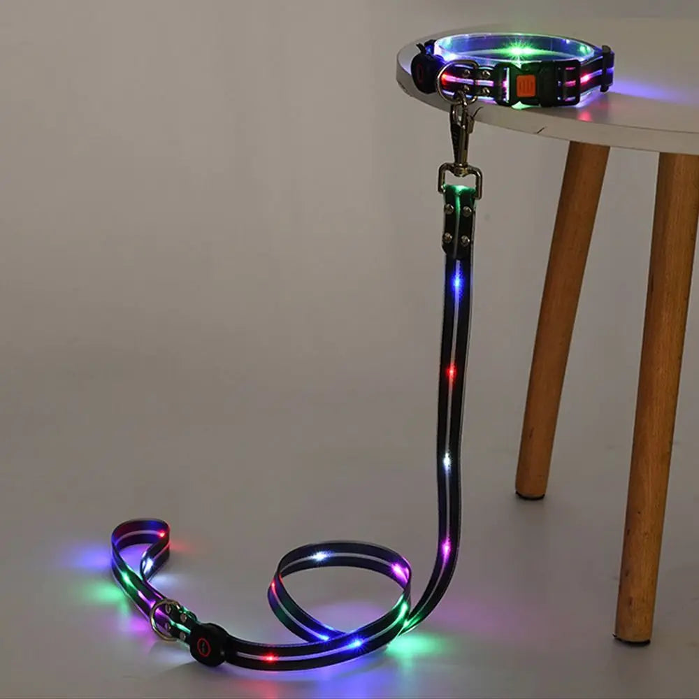 LED dog collar and leash set on a table with a neutral background