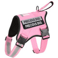 Pink dog harness with 'PRECIOUS DOG' label on a white background