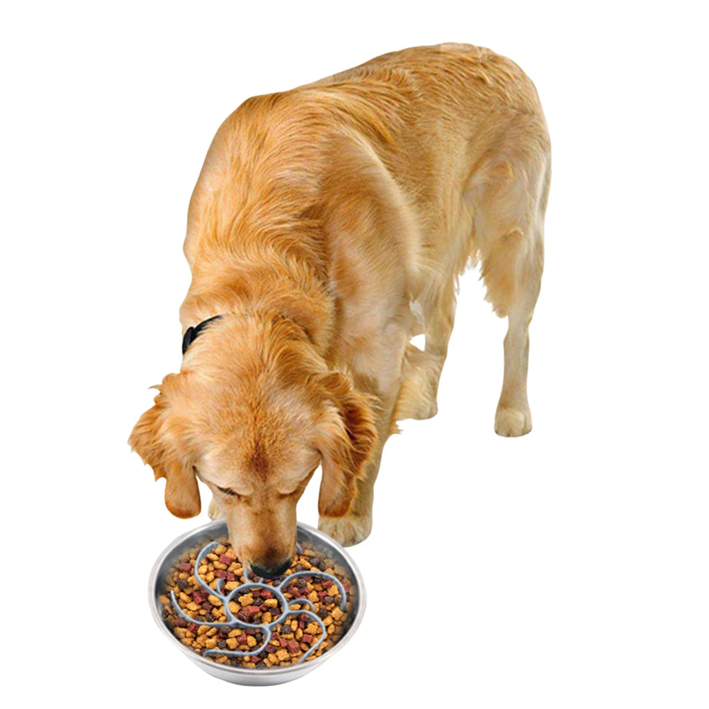 Slow Feeder Dog Bowl Insert – Anti-Choking Spiral Silicone Feeder for All Breeds
