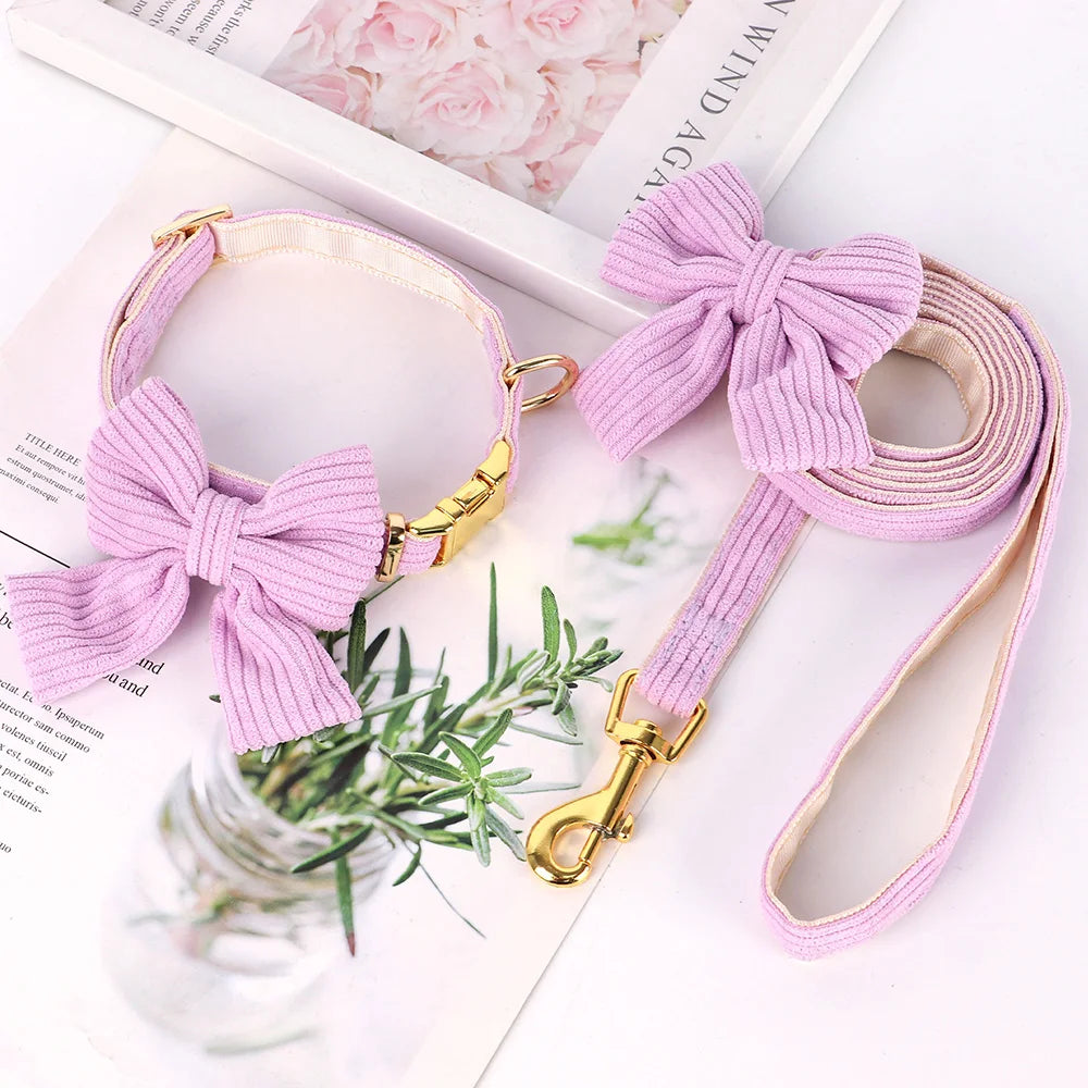 Cute Bowknot Dog Collar & Leash Set – Soft Velvet Walking Lead for Small & Medium Dogs