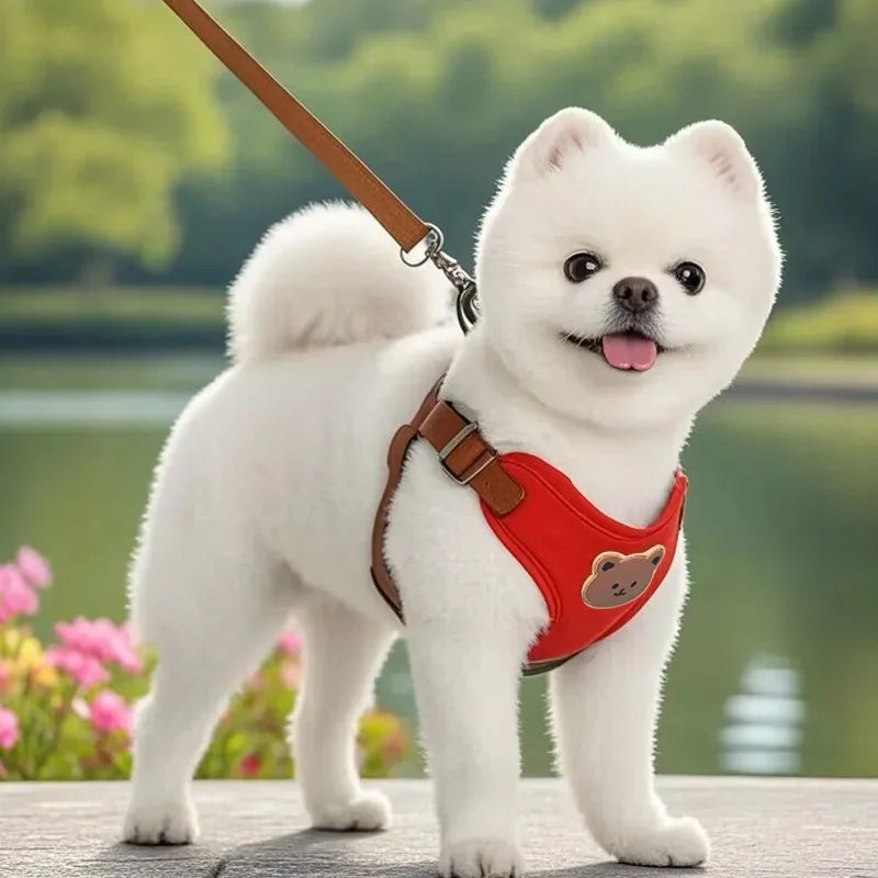 Cute Bear Pattern Dog Harness & Leash Set – Breathable Adjustable Vest for Small Dogs