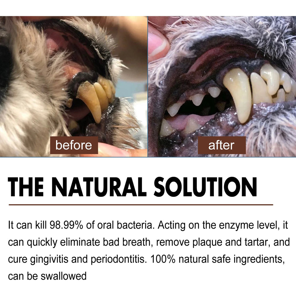 Pet Tooth Cleaning & Deodorizing Spray – Fresh Breath Dental Care for Dogs & Cats (30ml)