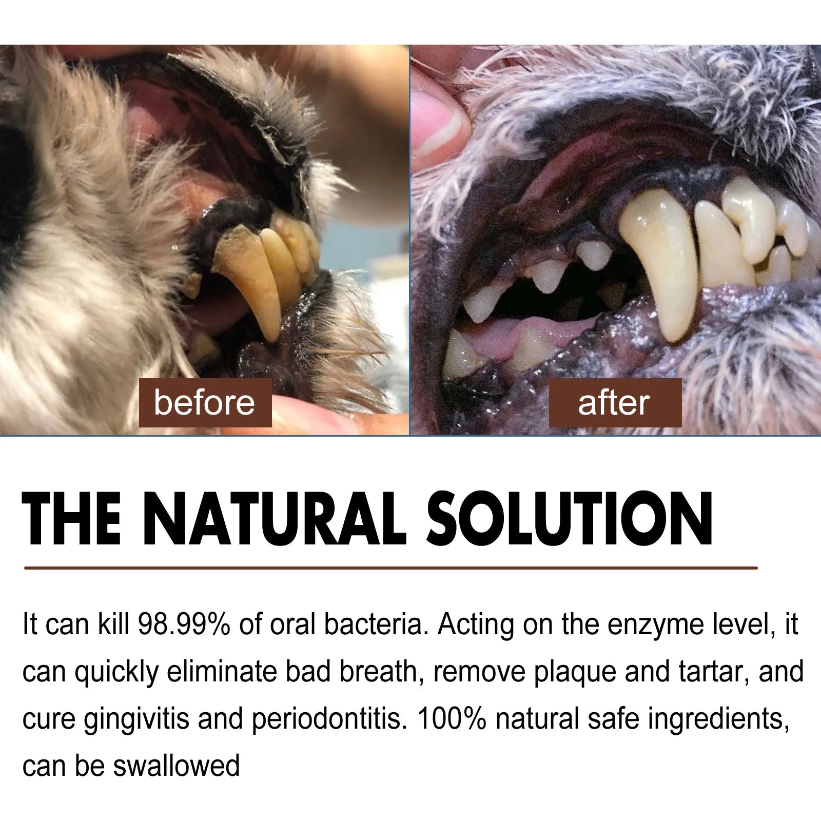 Pet Tooth Cleaning & Deodorizing Spray – Fresh Breath Dental Care for Dogs & Cats (30ml)