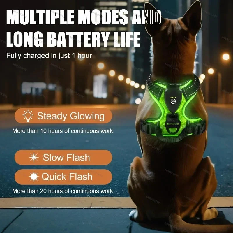 LED Light-Up Dog Harness Vest – USB Rechargeable, No-Pull, 3 Light Modes for Night Walking
