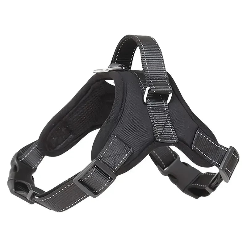 Black dog harness on a white background