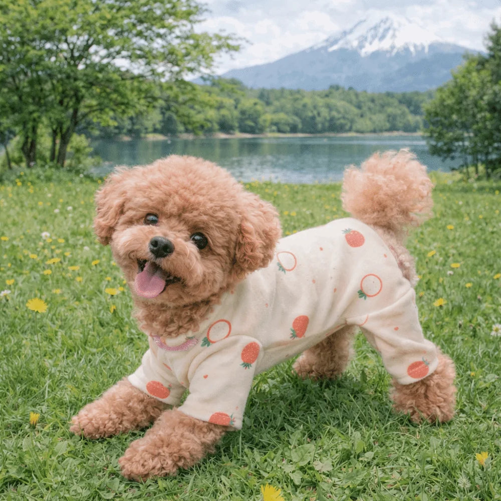 Cartoon Print Four-Legged Dog Pajamas