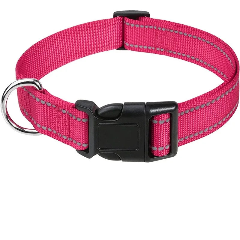 Decorative Choker Dog Collar – Puppy Neck Collar for Small & Large Dogs