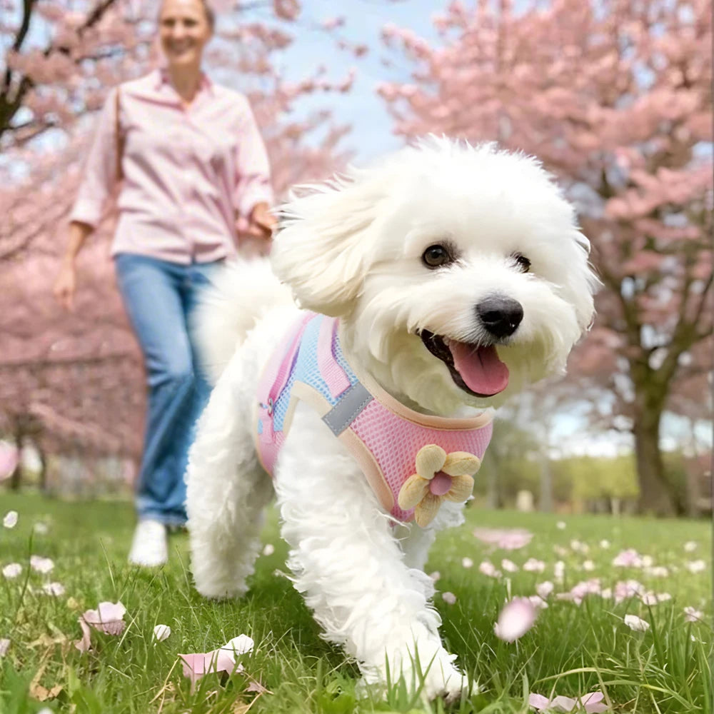 Breathable Mesh Dog & Cat Harness Leash Set – Reflective Vest for Small Pets (Chihuahua, Bulldog & More)