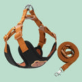 Cute Bear Pattern Dog Harness & Leash Set – Breathable Adjustable Vest for Small Dogs