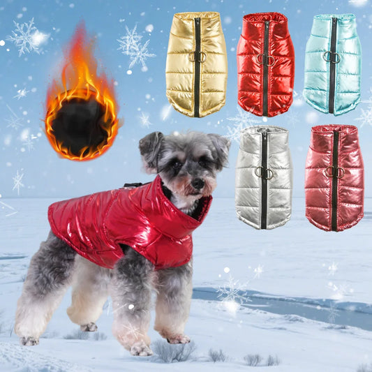 Luxury Waterproof Reflective Winter Dog Vest – Warm Jacket for Small, Medium & Large Dogs