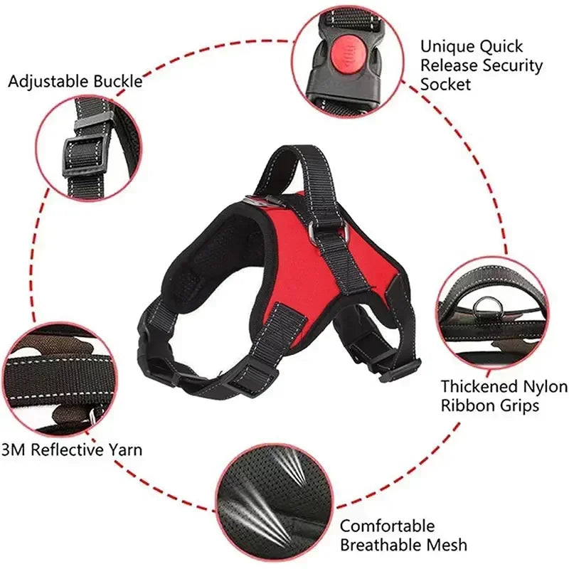 Red and black dog harness with features highlighted on a white background
