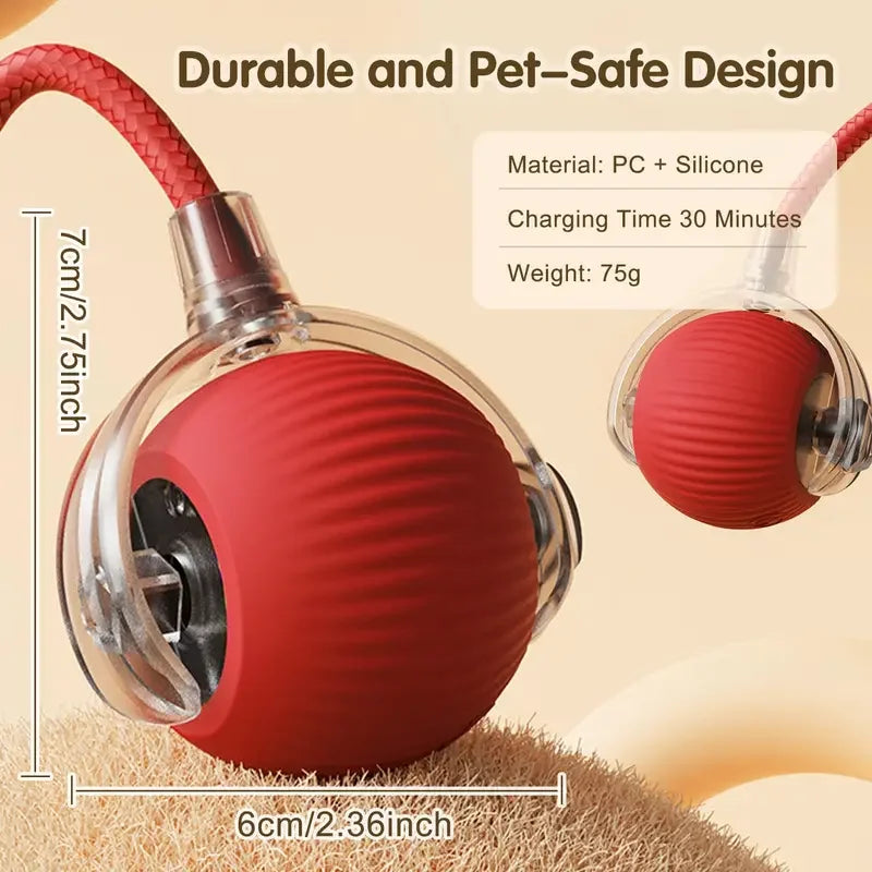 Interactive Rolling Ball Cat Toy with Tail – USB Rechargeable