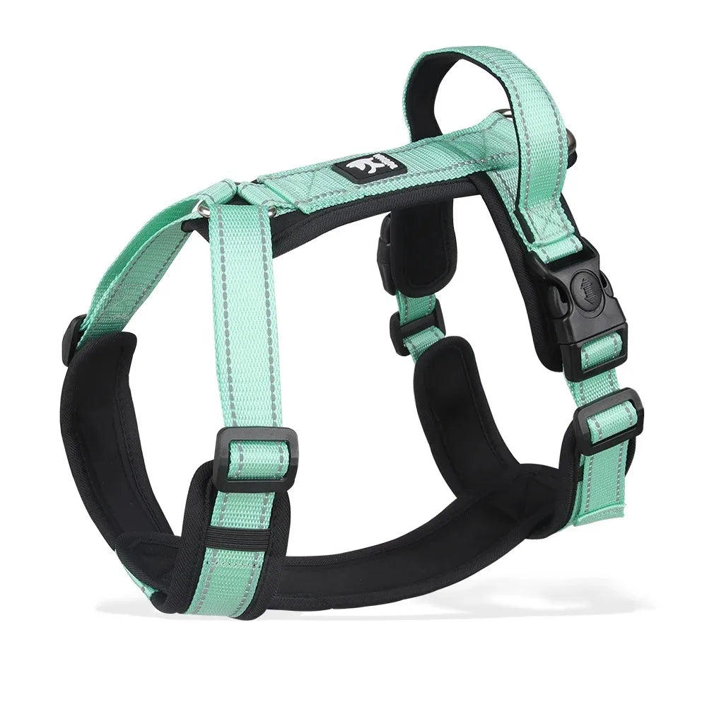 Classic Vest Dog Harness with Leash – Adjustable Chest Harness for Small & Medium Dogs