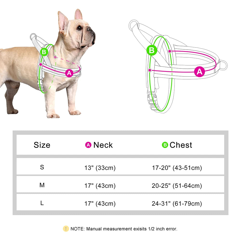 Dog harness measurement chart with a dog wearing the harness on a white background