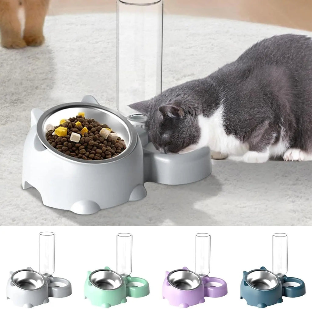 Tilted Pet Bowl Set with Automatic Water Dispenser – No-Spill Food & Water Feeder