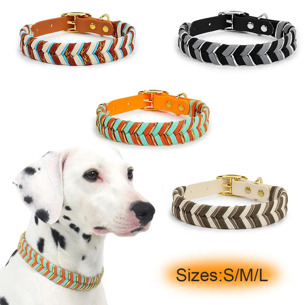 Five colorful dog collars with a Dalmatian wearing one of them, on a white background.
