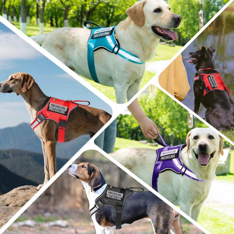 Collage of dogs wearing various harnesses in different outdoor settings.