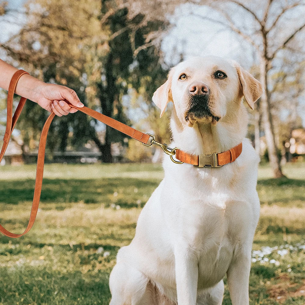 PU Leather Dog Collar & Leash Set – Adjustable, Durable & Soft for Small to Large Dogs