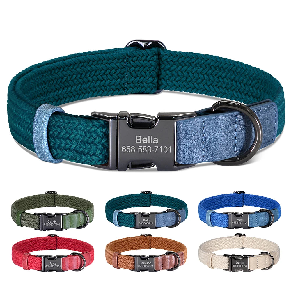 Dog collar with engraved nameplate and color options displayed below on a white background