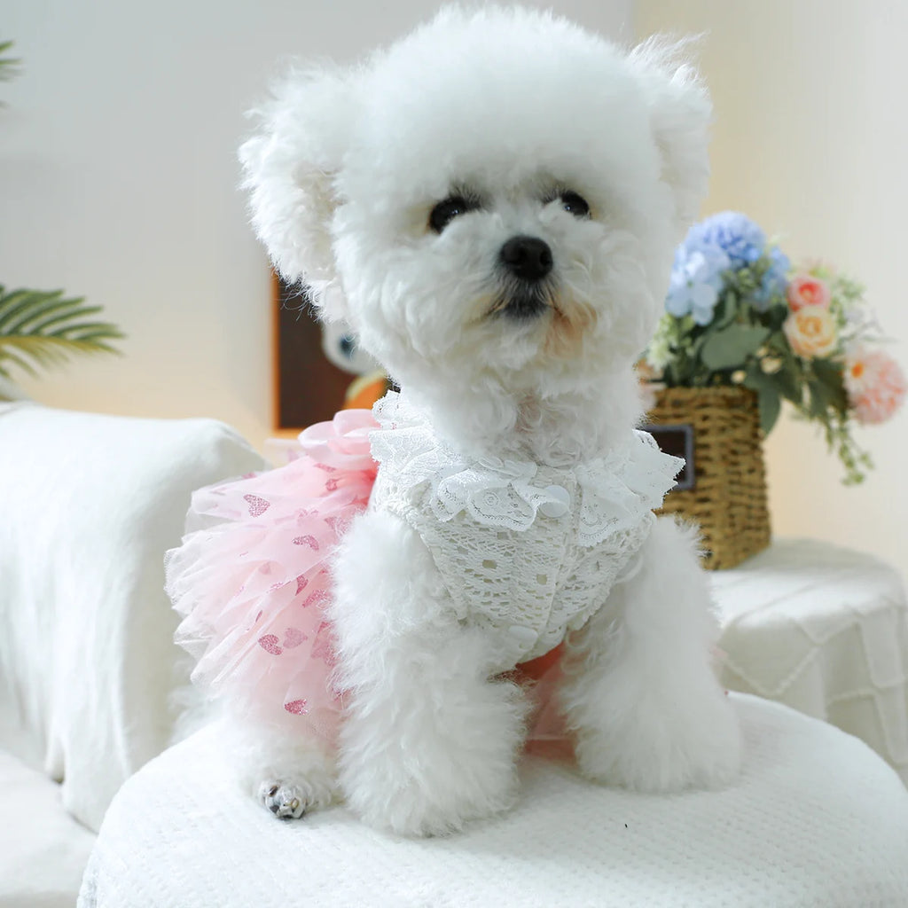 Pink Heart Puff Skirt Princess Dress for Dogs