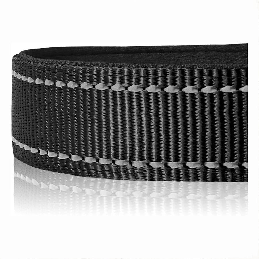 Soft Padded Reflective Dog Collar with Bone Tag – Adjustable Nylon for Small to Large Dogs