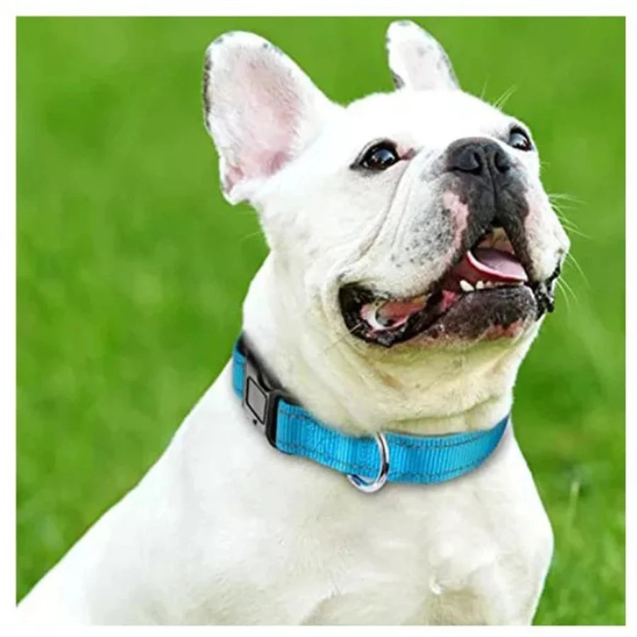 Soft Padded Reflective Dog Collar with Bone Tag – Adjustable Nylon for Small to Large Dogs