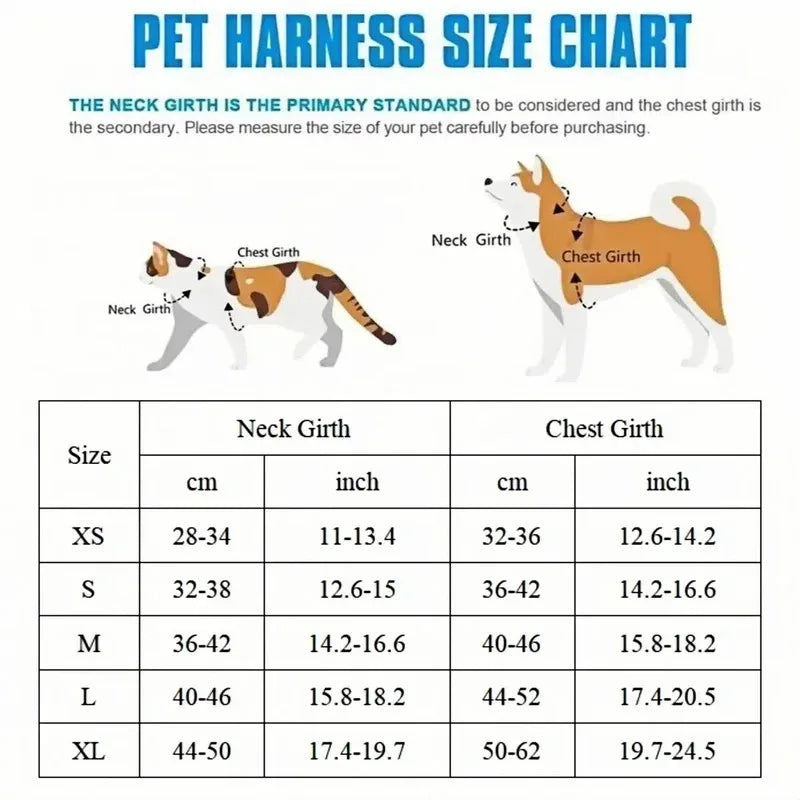Cute Bear Pattern Dog Harness & Leash Set – Breathable Adjustable Vest for Small Dogs