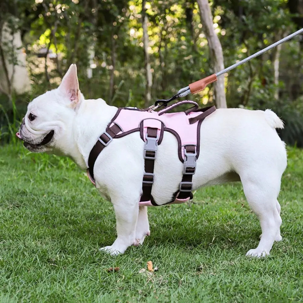 Reflective Oxford Dog Harness Vest with Handle – Adjustable, Breathable & Escape-Proof