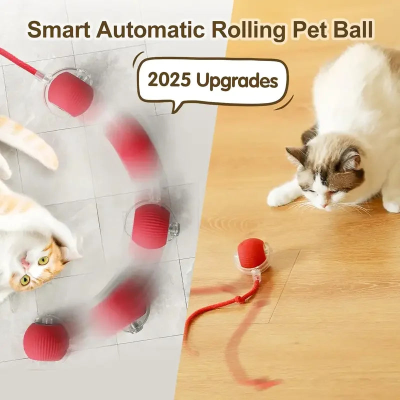Interactive Rolling Ball Cat Toy with Tail – USB Rechargeable