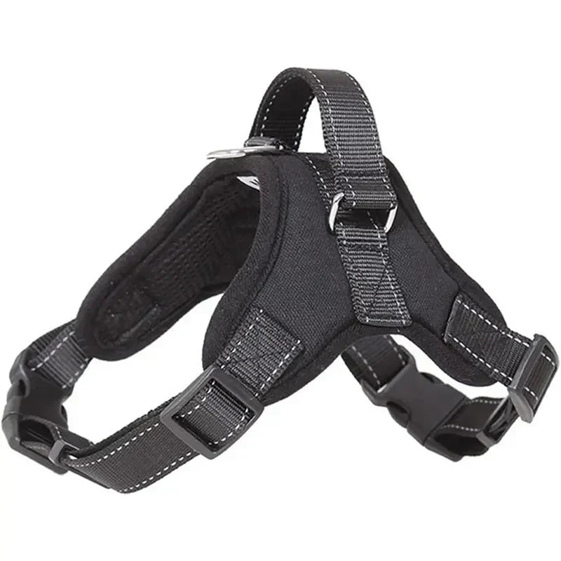 Black dog harness on a white background