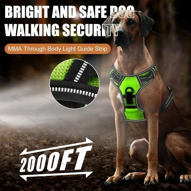 LED Light-Up Dog Harness Vest – USB Rechargeable, No-Pull, 3 Light Modes for Night Walking