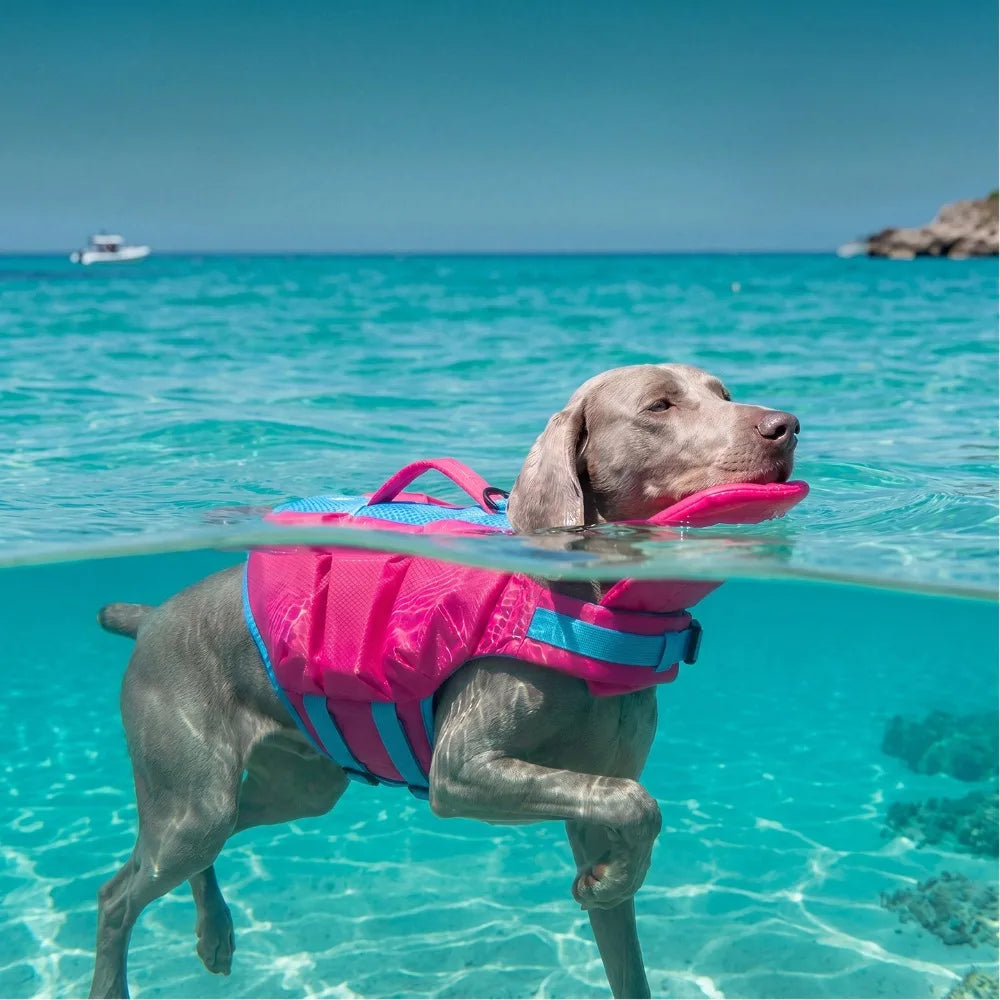 Dog Life Jacket for Medium & Large Dogs – High-Buoyancy Safety Swim Vest