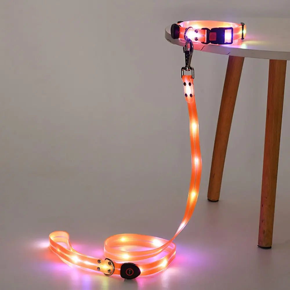 LED dog collar and leash set on a table with a neutral background