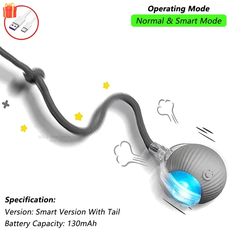 Interactive Rolling Ball Cat Toy with Tail – USB Rechargeable