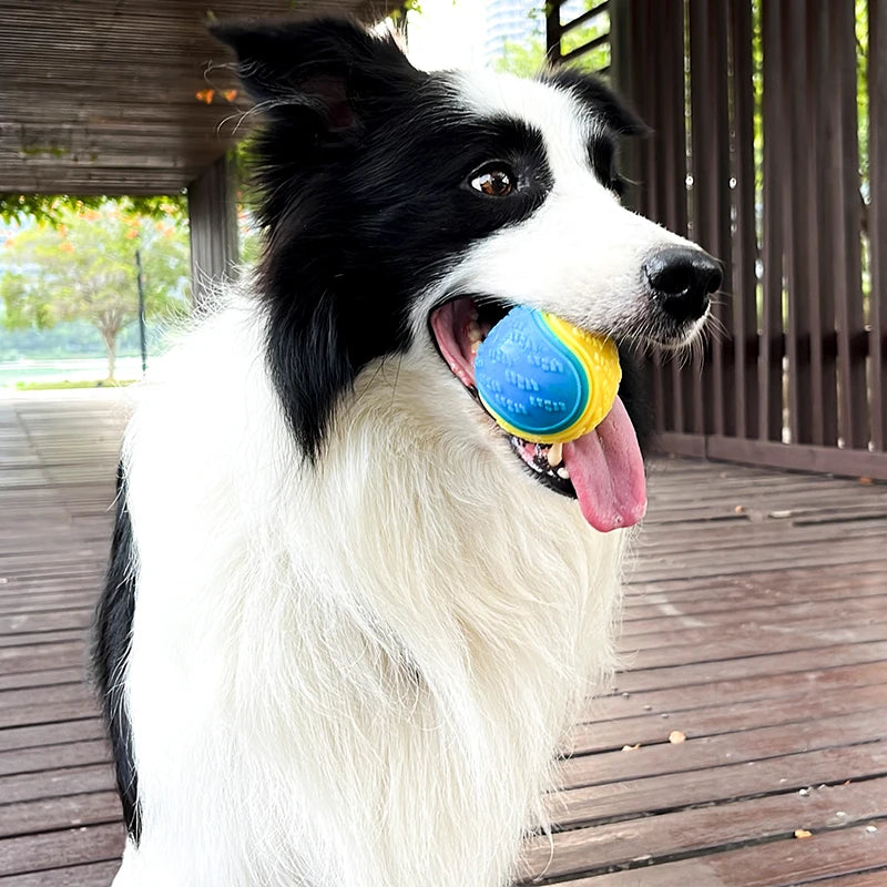 Squeaky TPR Dog Ball Toy – Teeth Cleaning Bite-Resistant Interactive Ball