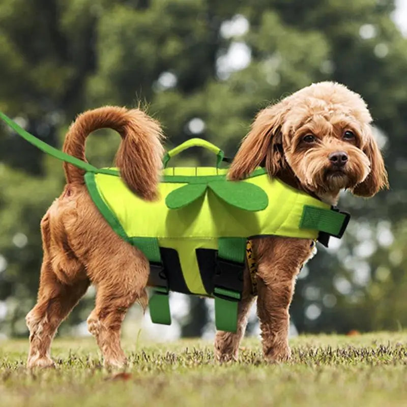 Fashionable Dog Life Vest with Rescue Handle – Bee & Dragonfly Design for Small Dogs