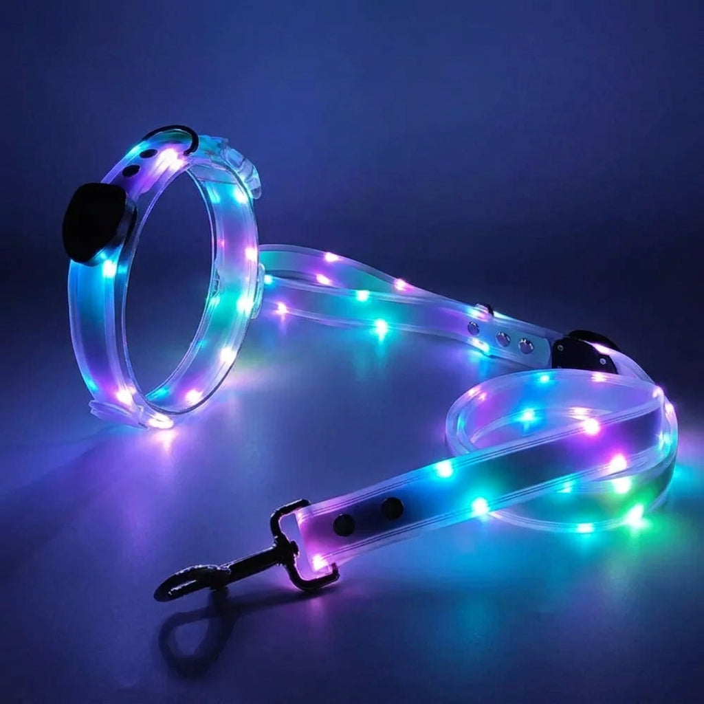 LED dog leash with glowing lights on a dark background, branded 'Starry Home'.