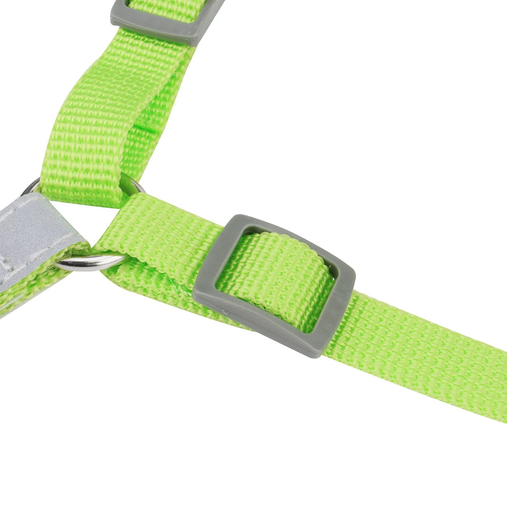 Reflective Dog Harness & Leash Set – Breathable Chest Strap Vest for Walking & Running