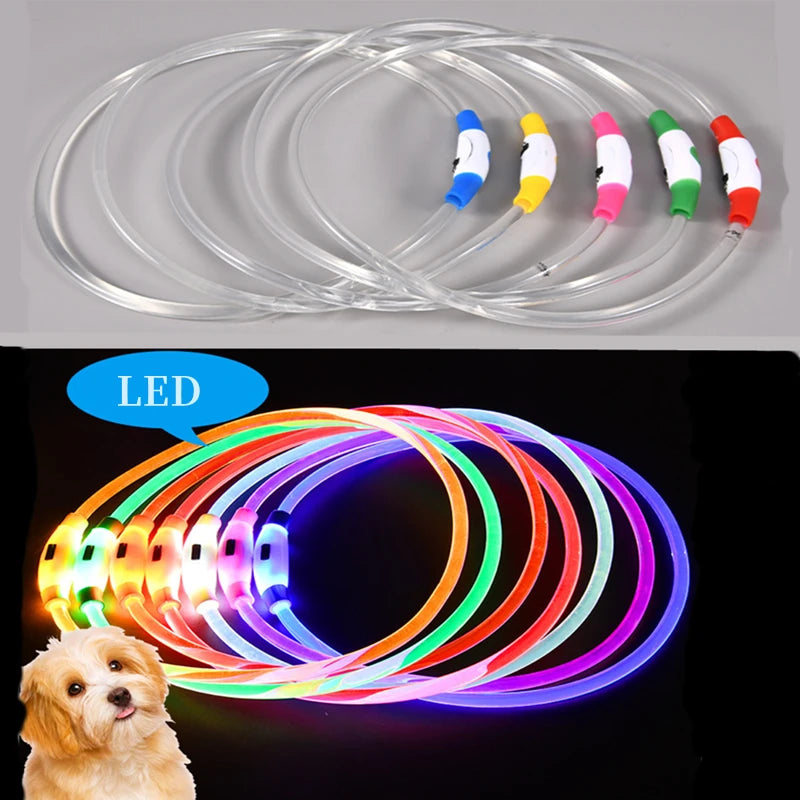 USB Rechargeable LED Dog Glow Collar – Cut to Fit