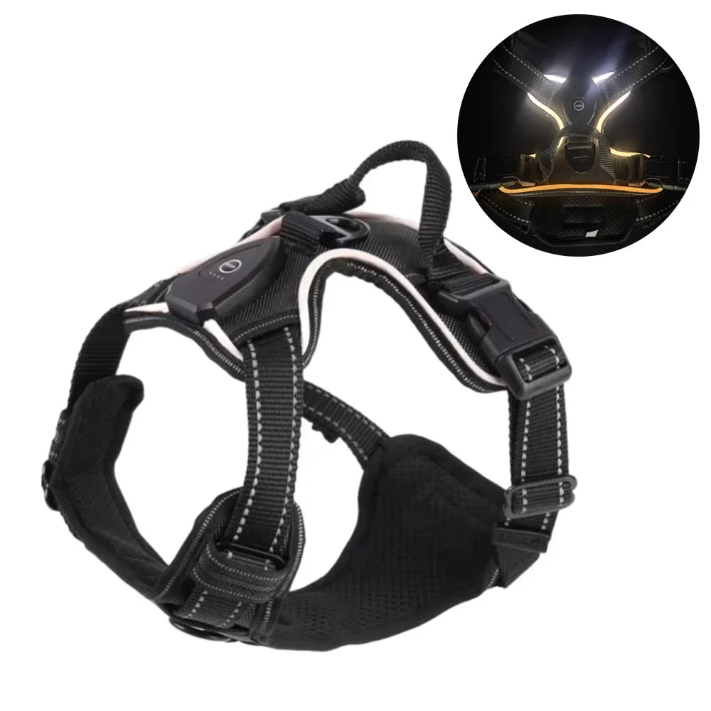 LED Light-Up Dog Harness – USB Rechargeable Glow Vest for Night Walking