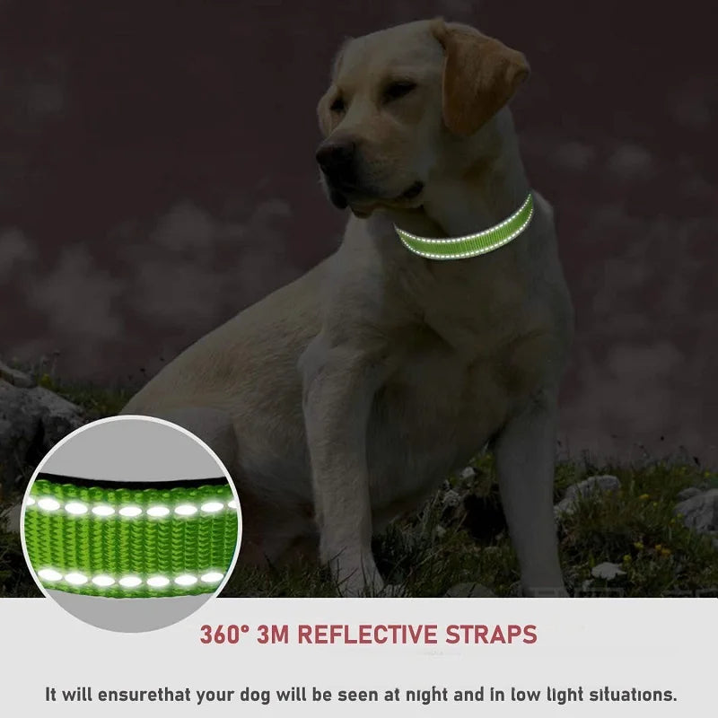Decorative Choker Dog Collar – Puppy Neck Collar for Small & Large Dogs