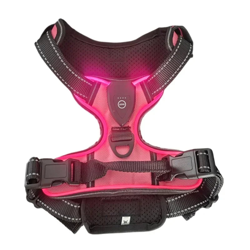 LED Light-Up Dog Harness Vest – USB Rechargeable, No-Pull, 3 Light Modes for Night Walking