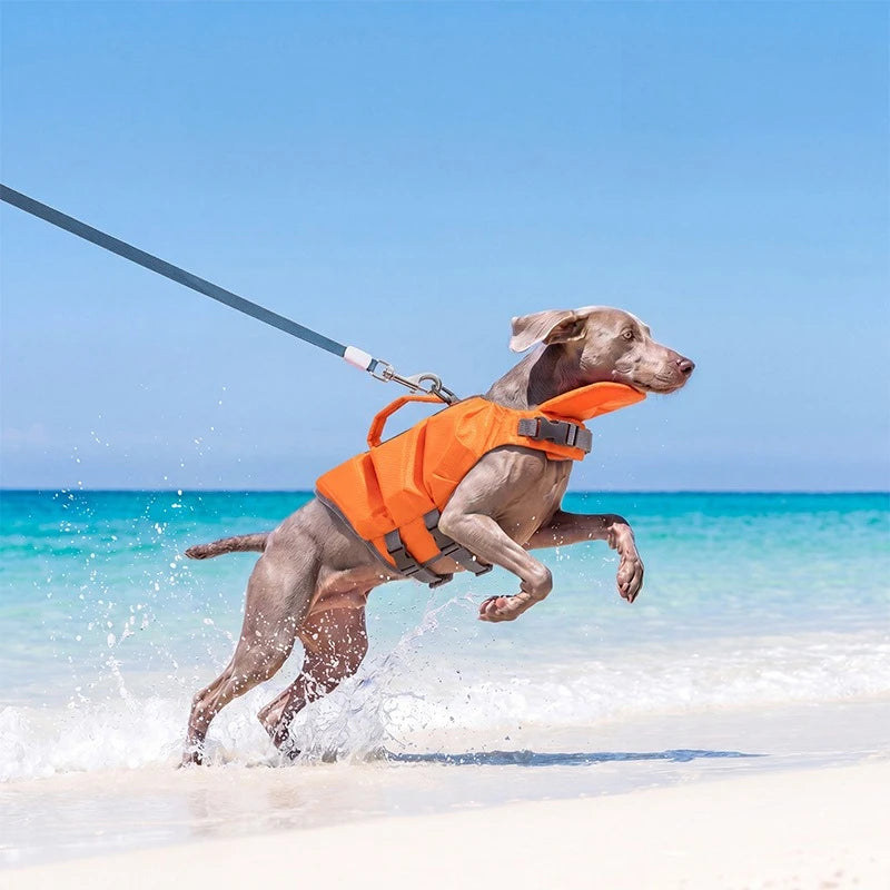 Dog Life Jacket for Medium & Large Dogs – High-Buoyancy Safety Swim Vest