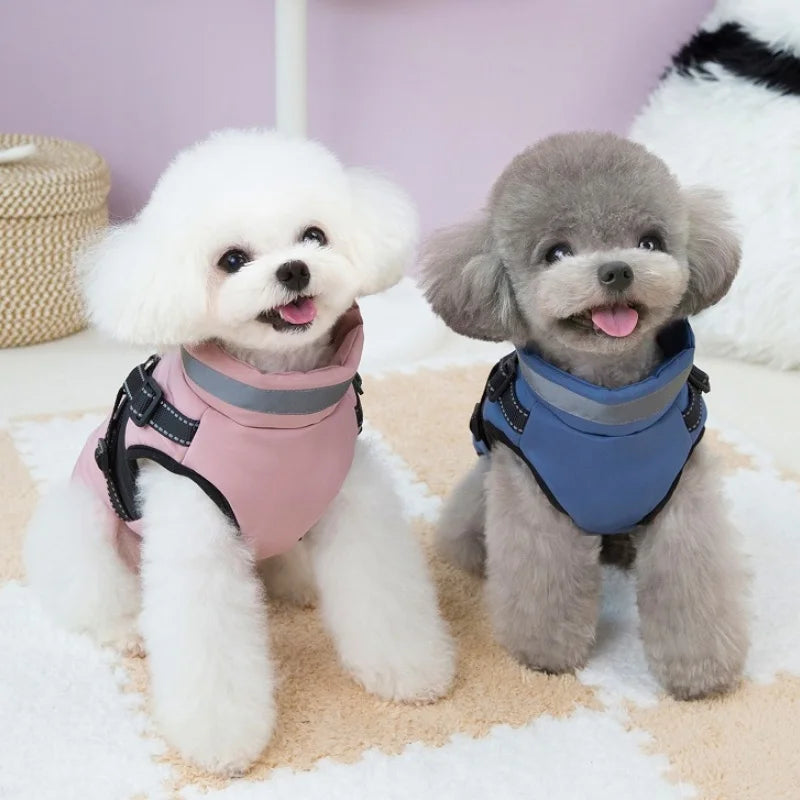 Padded Winter Dog Jacket with Built-In Harness – Reflective Zipper Coat for Small Dogs & Cats