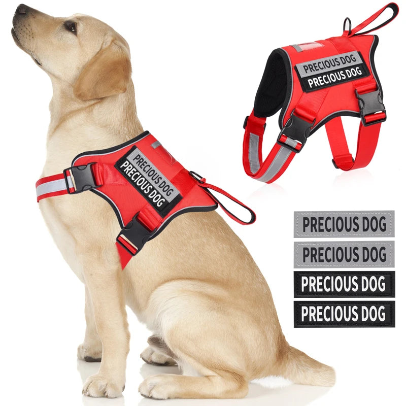 Dog wearing a red 'Precious Dog' harness with a close-up of the harness on a white background.