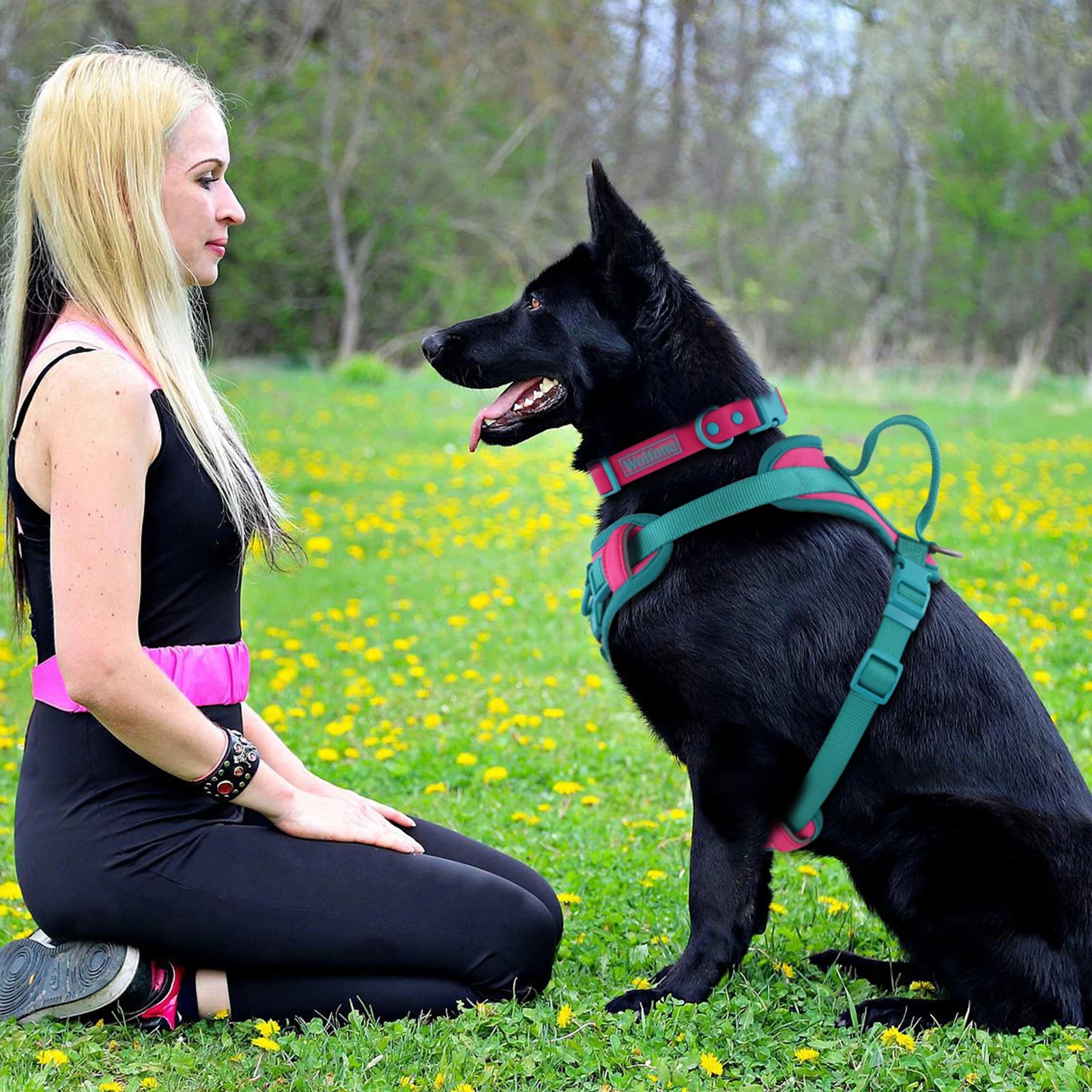 Splicing Colors No-Pull Dog Harness – Breathable Adjustable Vest for Small to Large Dogs