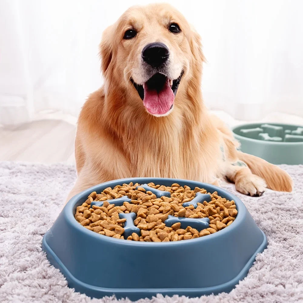 Large Capacity Slow Feeder Bowl for Dogs & Cats – Anti-Slip, Anti-Choking
